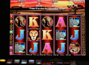 威廉体育电脑免费版